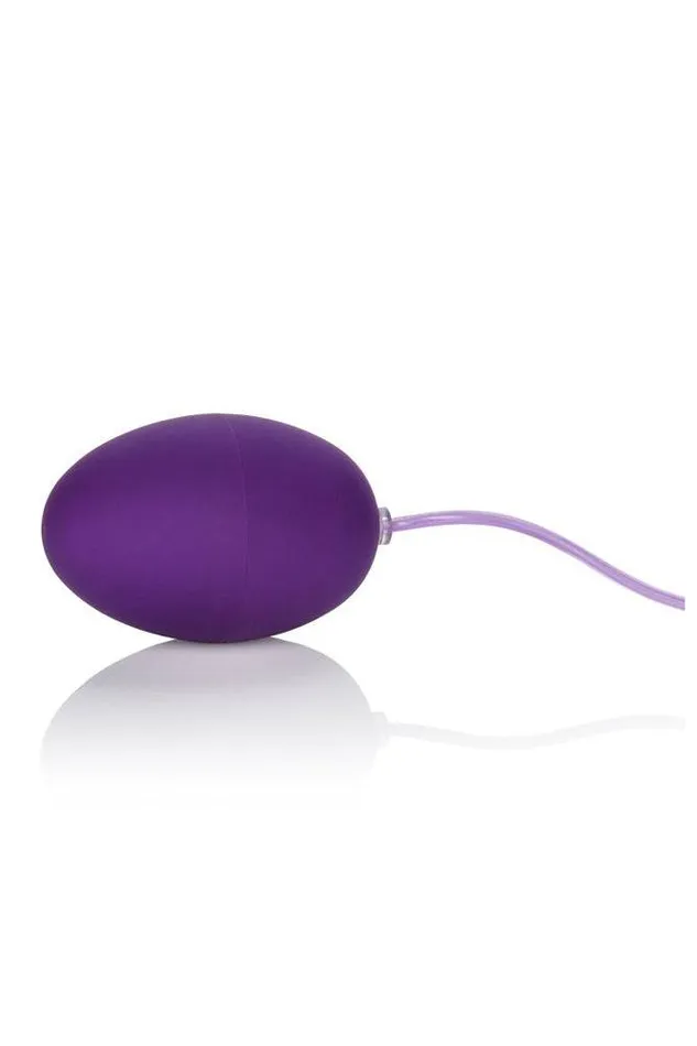 Vibrators Cal Exotics Cal Exotics Pocket Exotics Waterproof Egg Vibrator Purple